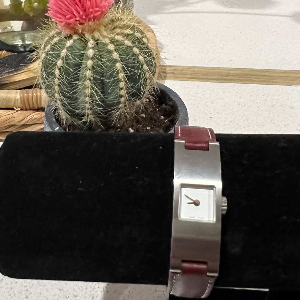 Coach Watch